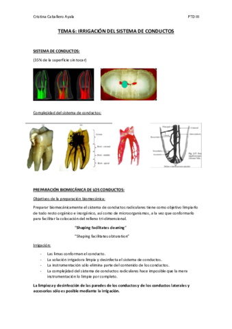 TEMA-6.pdf