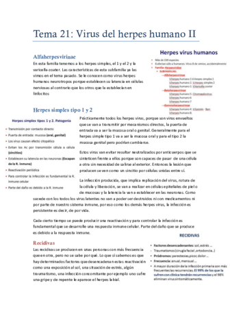 Tema 21virus del herpes humano.pdf