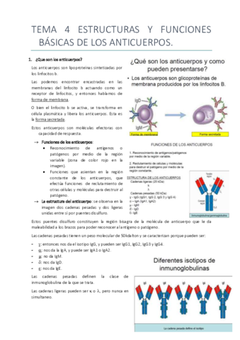 Tema 4.pdf