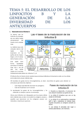 Tema 5.pdf