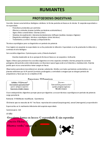 RUMIANTES.pdf