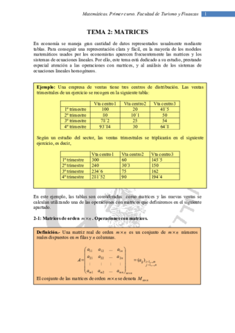 TEMA 2. MATRICES.pdf