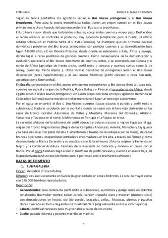 Bovinos.pdf