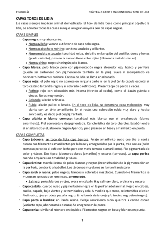 CAPAS-TOROS.pdf