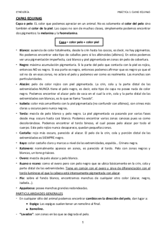 Practica-1.pdf