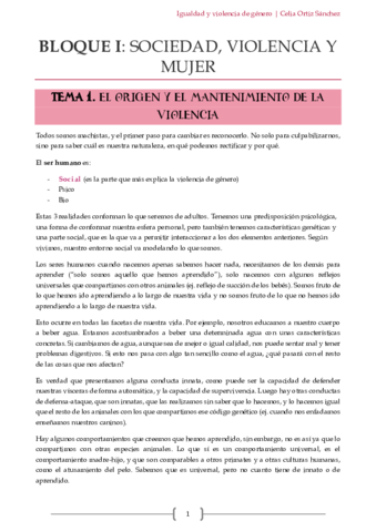 Apuntes-igualdad-y-violencia-de-genero-pdf.pdf