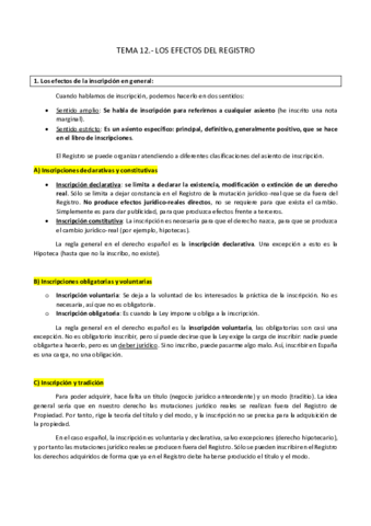 TEMA-12.pdf
