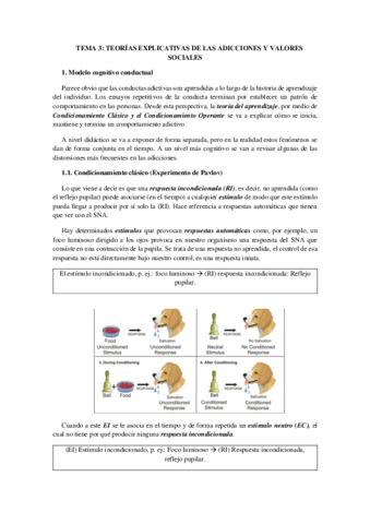 TEMA-3.pdf