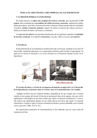 TEMA-4.pdf