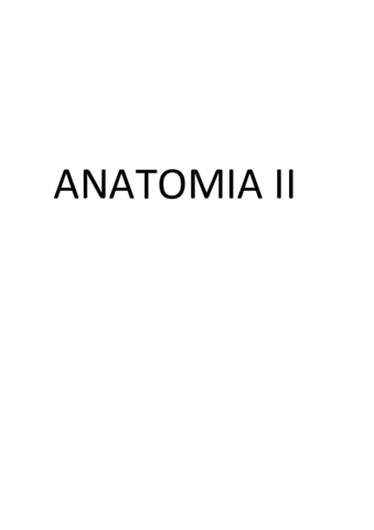 ANATOMIA II apuntes.pdf