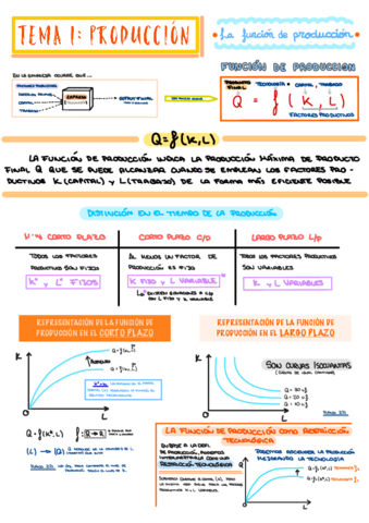 APUNTES-MICROECONOMIA-INTERMEDIA-TEMA-1.pdf