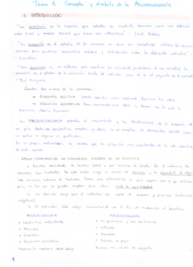 Apuntes Temario Macro I.pdf