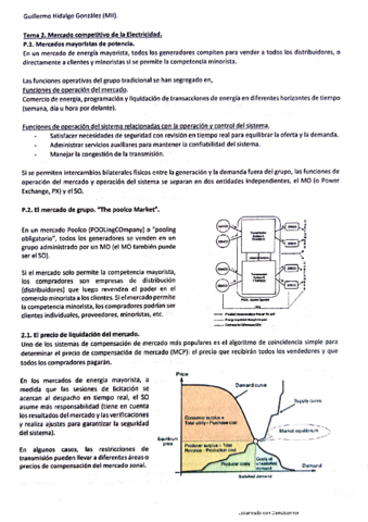 Bloque3MercadoCompetitivoElectricidad.pdf