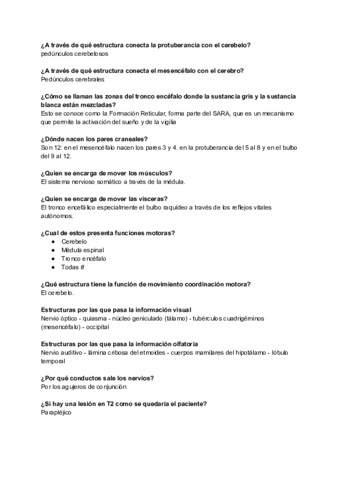 Preguntas-anatomia.pdf