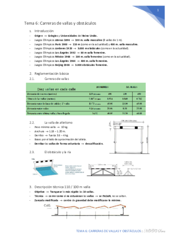 Tema-6-Carreras-de-vallas-y-obstaculos.pdf