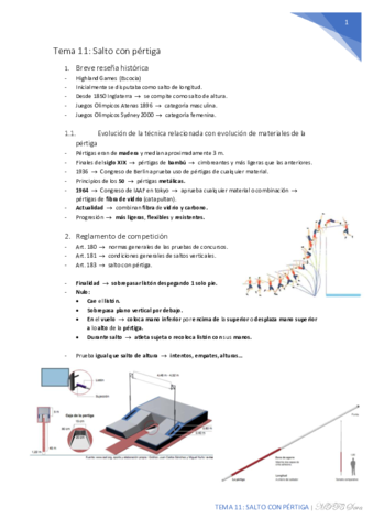 Tema-11-Salto-con-pertiga.pdf