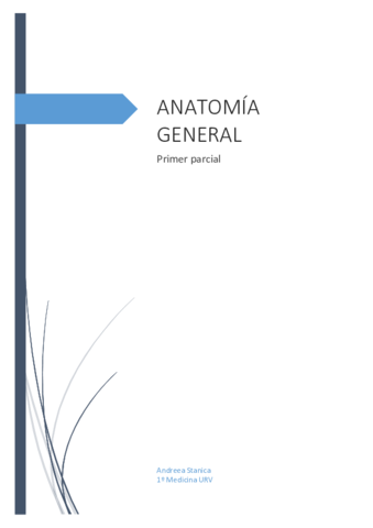 apuntes-1r-parcial.pdf