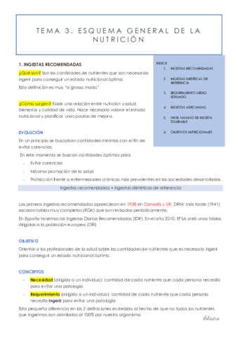 TEMA-3.pdf
