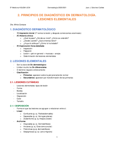 2-LESIONES-ELEMENTALES.pdf