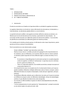 TEMA1 IAE.pdf