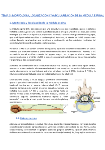 TEMA-3-Anatomia.pdf