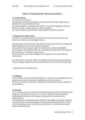 Tema-13.pdf