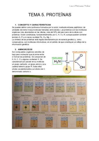Tema-5-Proteinas.pdf
