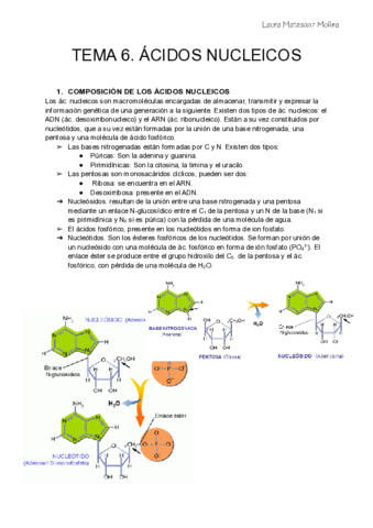 Tema-6-Acidos-nucleicos.pdf