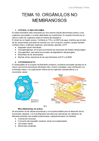Tema-10-Organulos-no-membranosos.pdf