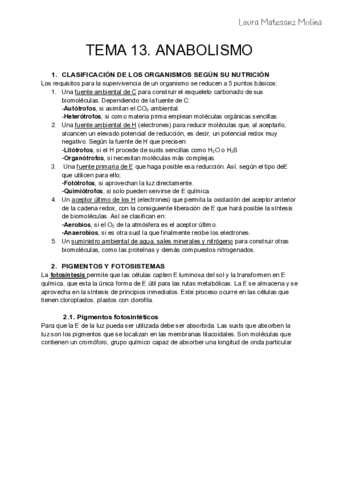 Tema-13-Anabolismo.pdf