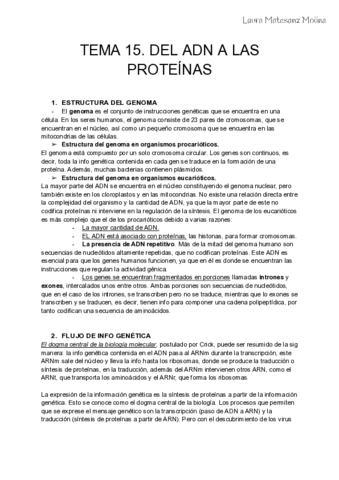 tema-15-Del-ADN-a-las-proteinas.pdf