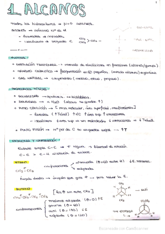 Organica-Primer-cuatri.pdf