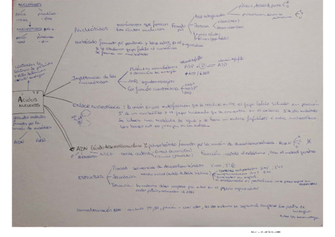Tema-5.pdf