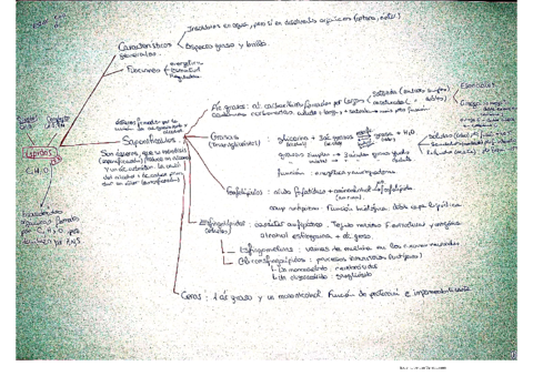 Tema-3.pdf