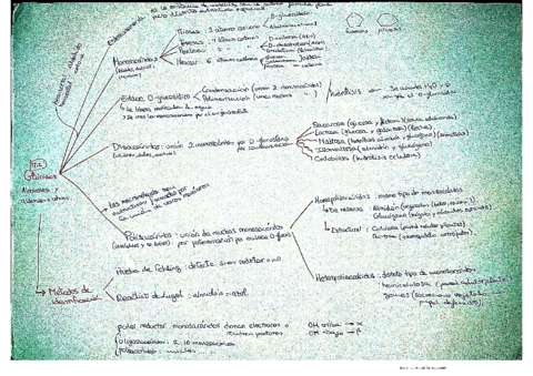 Tema-2.pdf
