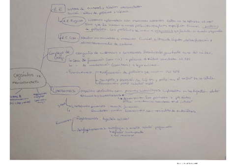 Tema-8.pdf