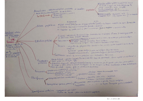 Tema-4.pdf