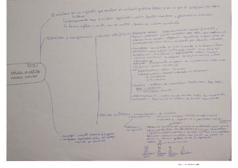 Tema-9.pdf