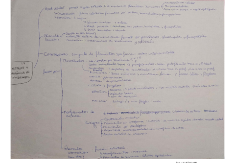 Tema-7.pdf