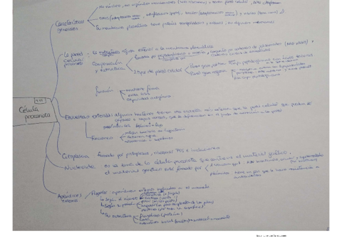 Tema-11.pdf