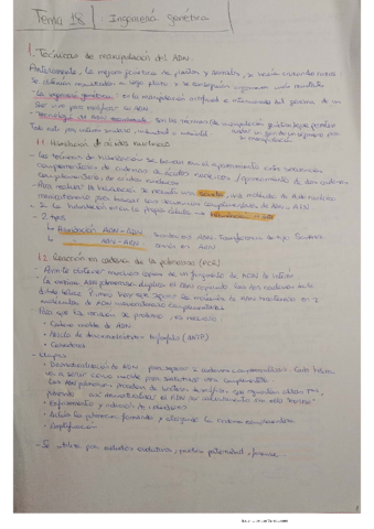 Tema-18.pdf