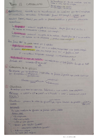 Tema-13.pdf