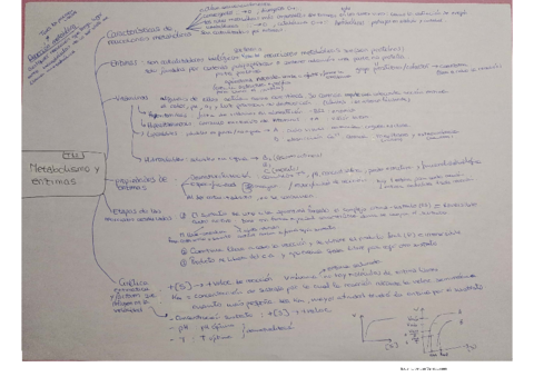 Tema-12.pdf