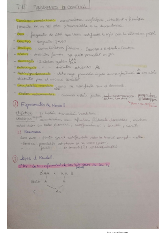 Tema-15.pdf
