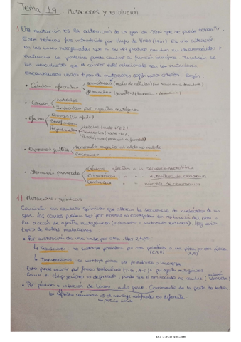 Tema-19.pdf