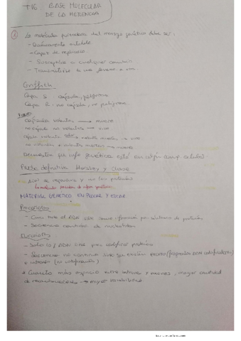 Tema-16.pdf