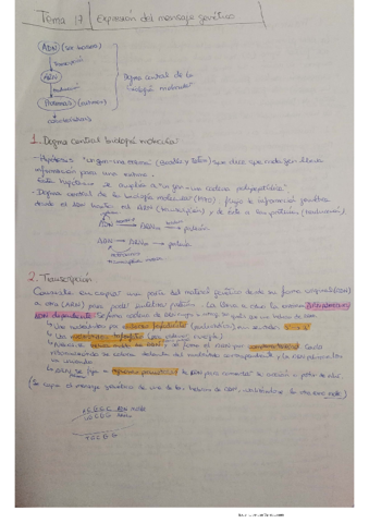 Tema-17.pdf