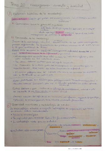 Tema-20.pdf