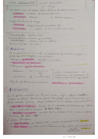 Tema-14.pdf