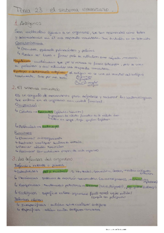 Tema-23.pdf